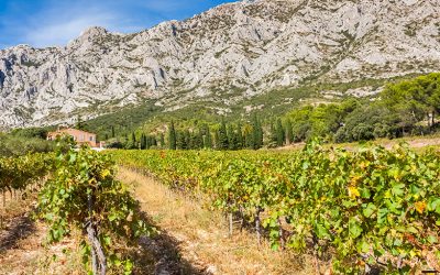 Les Collines de Pagnol